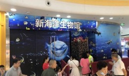 眉山万达爆料视频曝光,神秘项目即将揭晓，揭秘万达新动向！